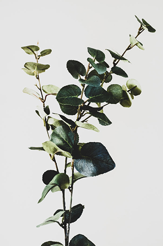 performance-in-health-sydney-naturopath-leaves-incontent-s performance-in-health-sydney-naturopath-leaves-incontent-s