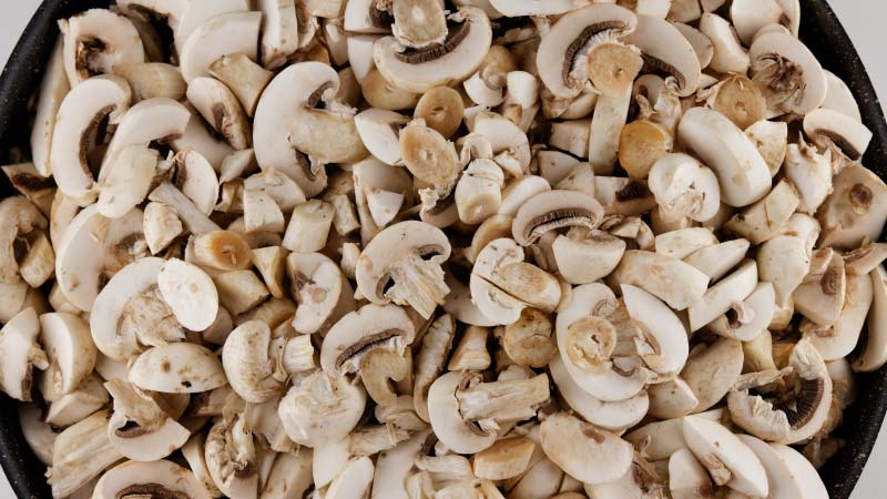 Plant-based-Protein-Performance-in-Health-3 Plant-based Protein Performance in Health