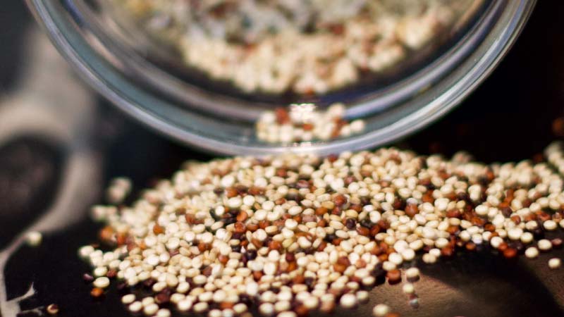 Plant-based-Protein-Performance-in-Health-4 Plant-based Protein Performance in Health