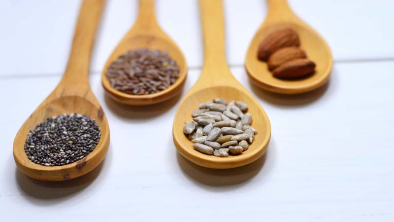 Plant-based Protein Performance in Health