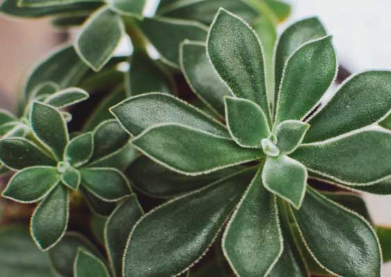 performance-in-health-naturopath-referrals-medical-practitioners-content performance-in-health-naturopath-referrals-medical-practitioners-content