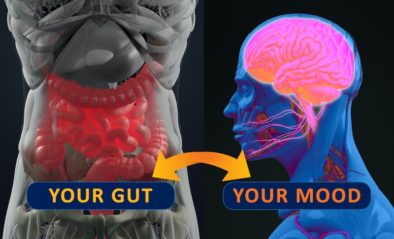 Is your gut affecting your mood?