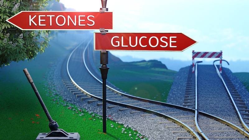 Railway Turnout Ketones/Glucose