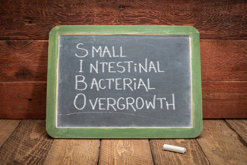 SIBO - small intestinal bacterial overgrowth