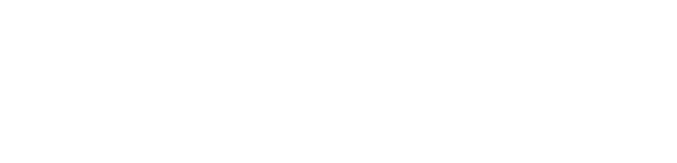 performance-in-health-logo_white-text-only