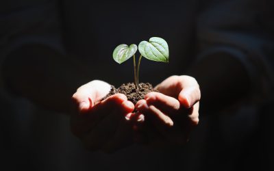 Health and Happiness are Precious: prevention, early detection & life wellbeing goals matter