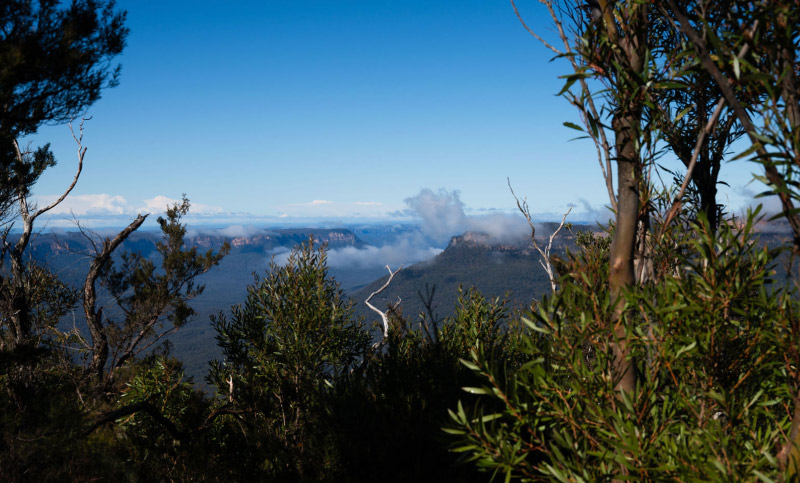 Performance-in-Health_Tanya-Edwards-Naturopath_Leura-Blue-Mountains03