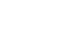Performance-in-Health-Icon-Echinacea_lowresPNG