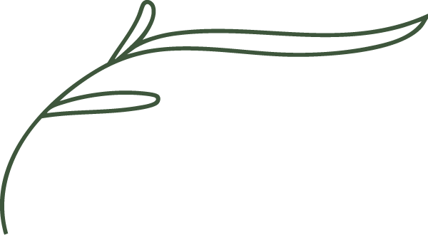 Performance-in-Health_icon-asset-logo-leaf
